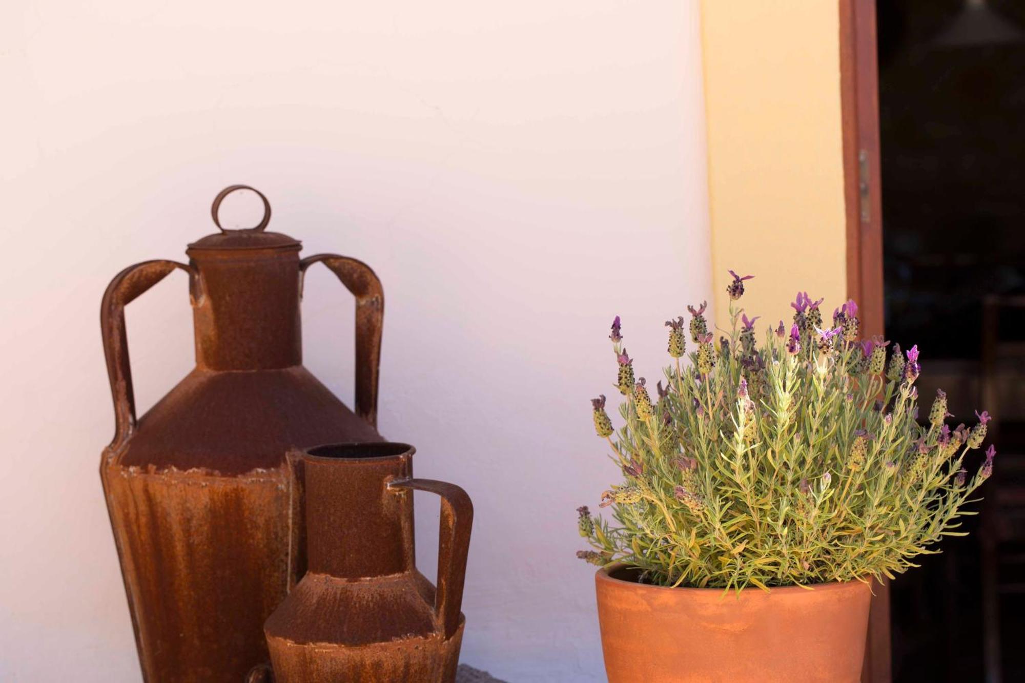 B&B Candelaria Corregos de Monte Seco Exterior photo