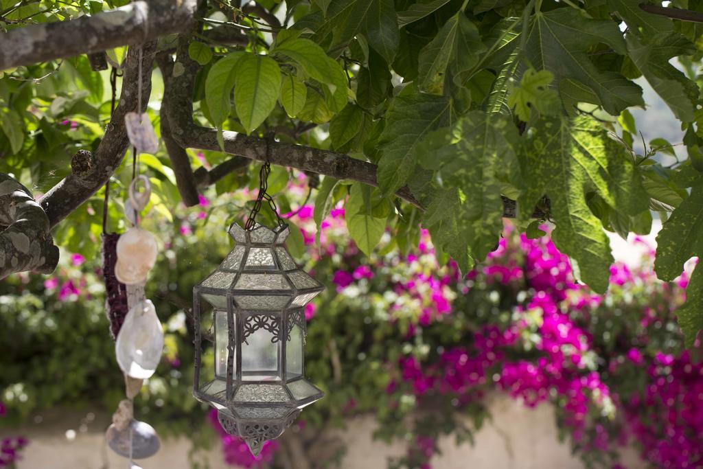 B&B Candelaria Corregos de Monte Seco Exterior photo